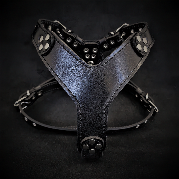 Dog Harnesses