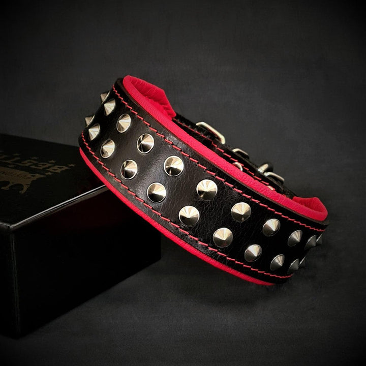 Bestia Boston Studded Leather Dog Collar
