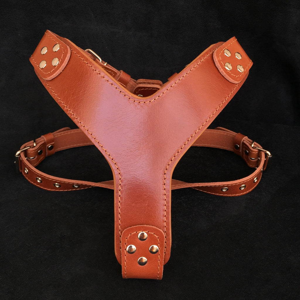 Bestia Style Leather Dog Harness – Brown, Standard Sizes